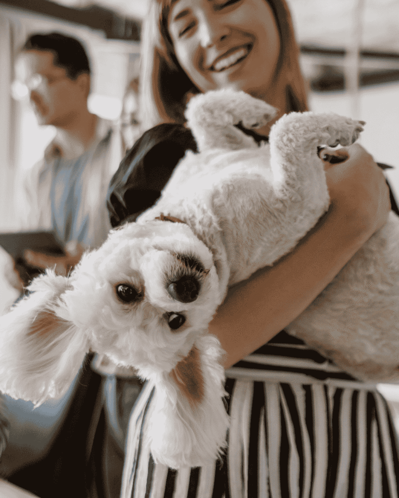 Pet enjoying eco-friendly grooming session at PawBasic in Mississauga