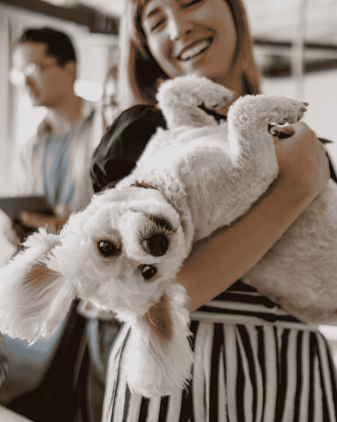 Pet enjoying eco-friendly grooming session at PawBasic in Mississauga
