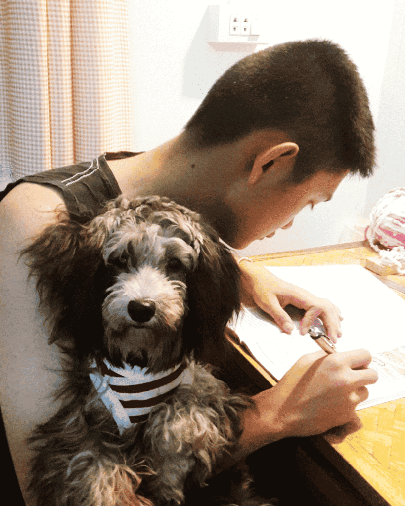 Pet being groomed at PawBasic in Mississauga with calm handling