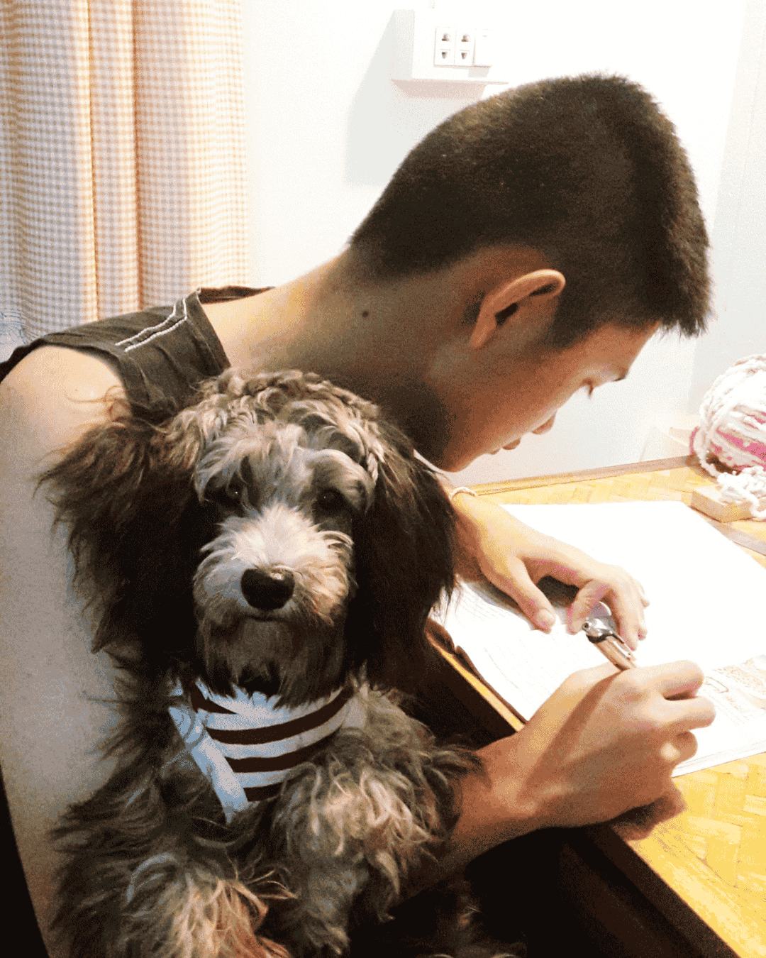 Pet being groomed at PawBasic in Mississauga with calm handling