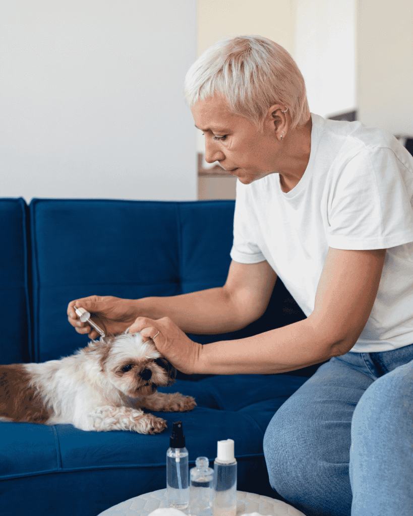 Dog getting skin treatment at PawBasic in Mississauga