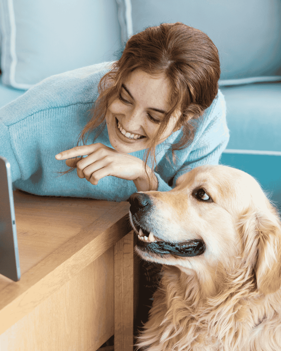 Professional dog groom at PawBasic salon in Cooksville Mississauga