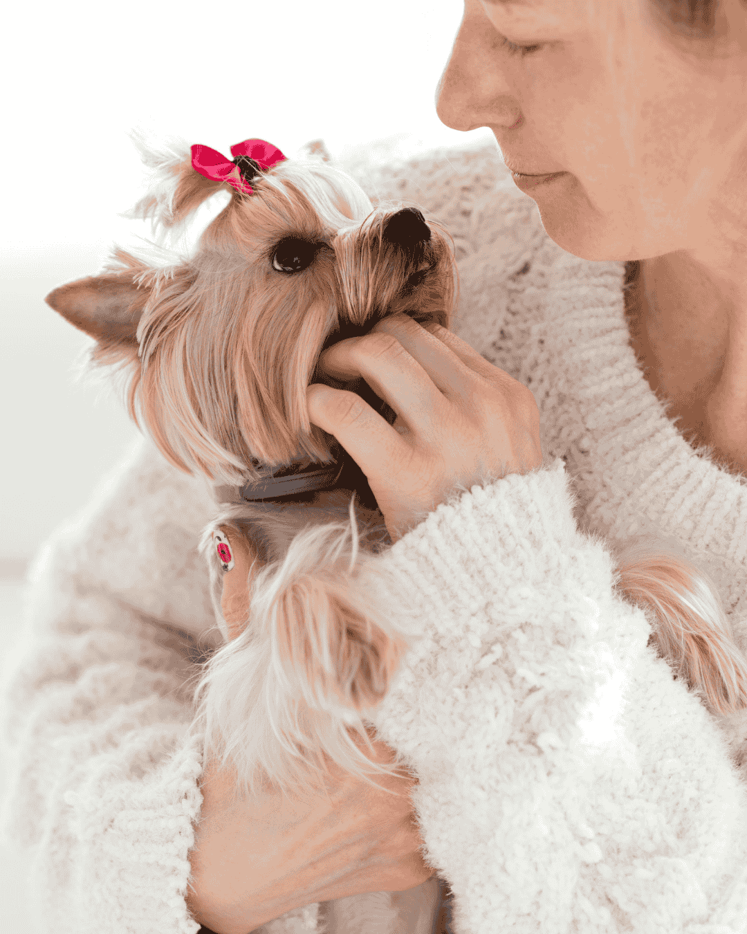 Dog before and after stylish grooming at PawBasic in Mississauga