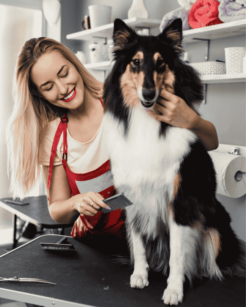 Expert dog groomer at PawBasic giving brushing tips in Mississauga