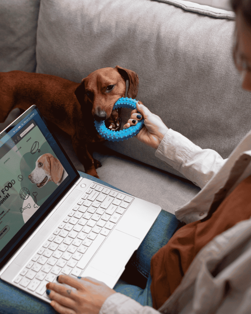 Modern technology used during dog grooming at PawBasic in Mississauga