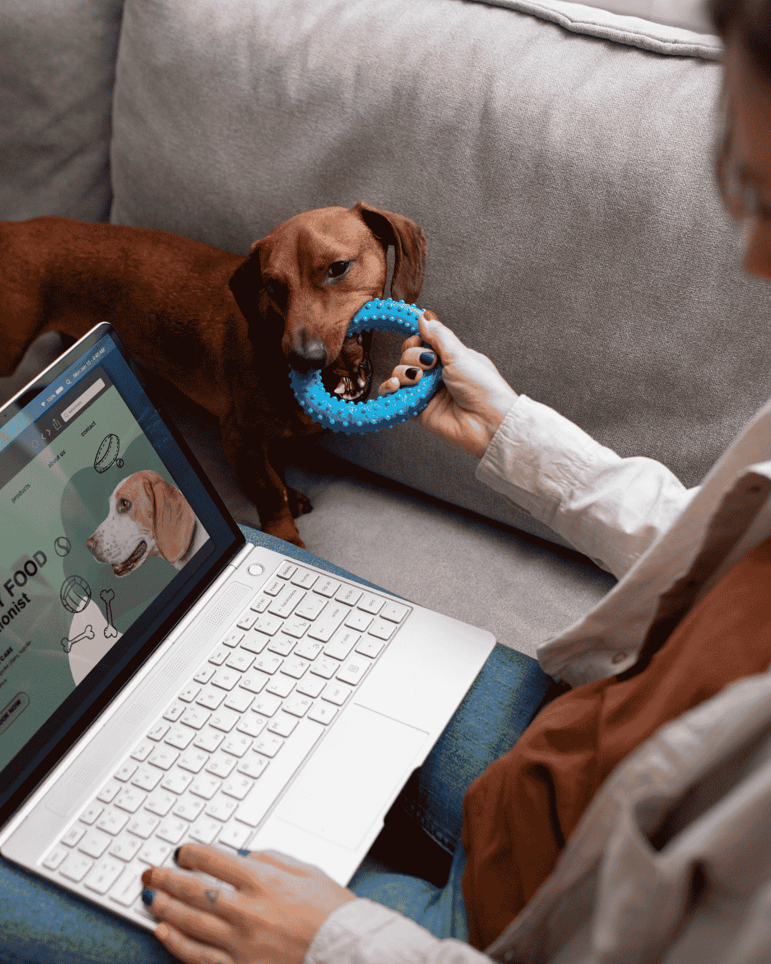Modern technology used during dog grooming at PawBasic in Mississauga