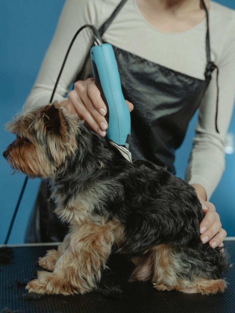 Pet groomer calming nervous dog during grooming at PawBasic in Mississauga