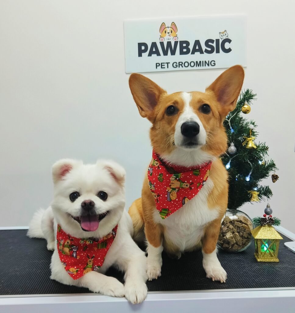 pet_grooming_mississauga