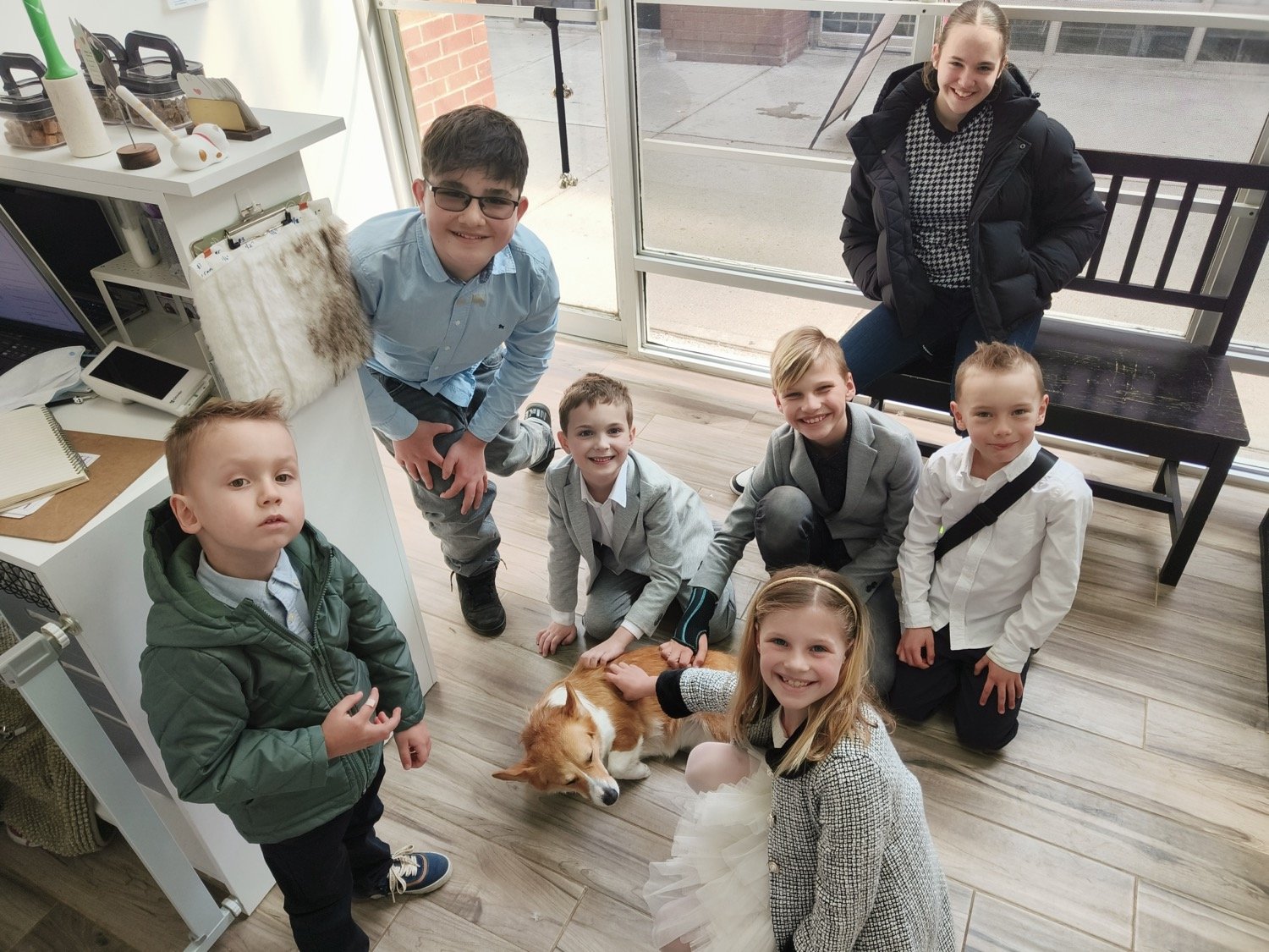 pawbasic-pet-grooming-mississauga-066